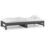 Abnehmbares Schlafsofa aus massivem, grauem Kiefernholz, 2 x (90 x 200) cm von vidaXL, Betten und Lattenroste - Ref: Foro24-8...
