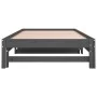 Abnehmbares Schlafsofa aus massivem, grauem Kiefernholz, 2 x (90 x 200) cm von vidaXL, Betten und Lattenroste - Ref: Foro24-8...