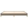 Taupe gray fabric bed frame 200x200 cm by vidaXL, Beds and slatted bases - Ref: Foro24-346846, Price: 126,49 €, Discount: %