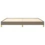 Taupe gray fabric bed frame 200x200 cm by vidaXL, Beds and slatted bases - Ref: Foro24-346846, Price: 122,63 €, Discount: %