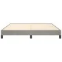 Estructura de cama de terciopelo gris claro 160x200 cm de vidaXL, Camas y somieres - Ref: Foro24-346982, Precio: 144,82 €, De...