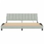 Estructura cama con luces LED terciopelo gris claro 200x200 cm