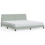 Estructura cama con luces LED terciopelo gris claro 200x200 cm