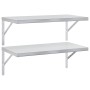Estantes de pared 2 uds acero inoxidable plateado 75x40 cm