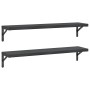 Estantes de pared 2 uds acero inoxidable negro 100x23,5 cm