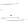 Toldo retráctil manual burdeos 300x250 cm
