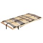 Cama somier eléctrico de láminas sin colchón 7 zonas 70x200 cm