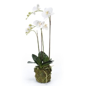 Emerald Orquídea mariposa artificial 70 cm blanca