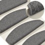 Felpudos para escaleras 15 unidades 65x24x4 cm Gris oscuro