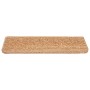 Alfombrillas para escaleras 10 unidades 65x21x4 cm Beige Borde