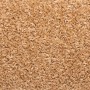 Alfombrillas para escaleras 10 unidades 65x21x4 cm Beige Borde