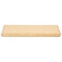 Alfombrillas para escaleras 10 unidades 65x21x4 cm Crema Borde