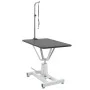 Hydraulic Grooming Table for Pets Dogs, Rotating and Adjustable by vidaXL, Pet hygiene products - Ref: Foro24-170171, Price: ...