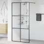 Mampara ducha accesible vidrio ESG transparente negro 100x195cm