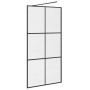 Mampara ducha accesible vidrio ESG transparente negro 100x195cm