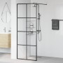 Mampara de ducha accesible vidrio ESG claro negro 80x195 cm