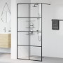 Mampara ducha accesible vidrio ESG transparente negro 100x195cm