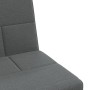 L-förmiges Schlafsofa aus dunkelgrauem Stoff, 255 x 140 x 70 cm von vidaXL, Sofas - Ref: Foro24-3157227, Preis: 410,47 €, Rab...
