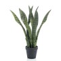 Künstliche Emerald Sansevieria im Topf 55 cm von Emerald, Künstliche Flora - Ref: Foro24-423636, Preis: 38,26 €, Rabatt: %