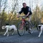 SPRINGER Fahrrad-Trainingsset für Hunde von SPRINGER, Haustierleinen - Ref: Foro24-428413, Preis: 76,58 €, Rabatt: %
