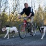 SPRINGER Fahrrad-Trainingsset für Hunde von SPRINGER, Haustierleinen - Ref: Foro24-428413, Preis: 91,94 €, Rabatt: %