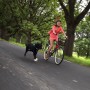 SPRINGER Kit de ejercicio de bicicleta para perros