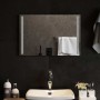 Espejo de baño con LED 60x40 cm