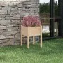 Pflanzgefäß aus massivem Kiefernholz, 50 x 50 x 70 cm von vidaXL, Töpfe und Pflanzgefäße - Ref: Foro24-810799, Preis: 32,11 €...