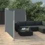 Anthrazitgraue einziehbare Seitenmarkise 100x600 cm von vidaXL, Sonnenschirme - Ref: Foro24-48444, Preis: 97,01 €, Rabatt: %