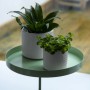 Esschert Design Round Green Plant Tray with Clamp L by Esschert Design, Decorative trays - Ref: Foro24-441021, Price: 28,29 €...