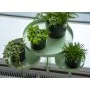 Esschert Design Round Green Plant Tray with Clamp L by Esschert Design, Decorative trays - Ref: Foro24-441021, Price: 22,08 €...