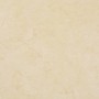 Beige selbstklebende PVC-Bodendielen 5,11 m² von vidaXL, Böden und Teppiche - Ref: Foro24-144875, Preis: 76,79 €, Rabatt: %