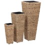 Conjunto de arriates 3 piezas jacinto de agua marrón de vidaXL, Maceteros y jardineras - Ref: Foro24-45568, Precio: 107,30 €,...