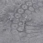 Cement gray self-adhesive PVC floor planks 5.02 m² 2 mm by vidaXL, Floors and carpets - Ref: Foro24-146558, Price: 88,75 €, D...