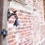 Esschert Design Brown Cast Iron Doorbell BR22 by Esschert Design, decorative bells - Ref: Foro24-421268, Price: 23,86 €, Disc...