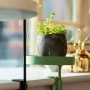 Esschert Design Plant Tray with Round Clamp Green S by Esschert Design, Decorative trays - Ref: Foro24-441019, Price: 19,54 €...