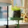 Esschert Design Plant Tray with Round Clamp Green S by Esschert Design, Decorative trays - Ref: Foro24-441019, Price: 19,55 €...