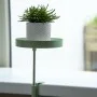 Esschert Design Plant Tray with Round Clamp Green S by Esschert Design, Decorative trays - Ref: Foro24-441019, Price: 19,55 €...