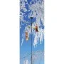 Esschert Design Hanging bird feeder FB145 by Esschert Design, Bird cage waterers and feeders - Ref: Foro24-423794, Price: 17,...