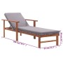 Tumbona con cojín ratán sintético y madera maciza acacia gris de vidaXL, Tumbonas - Ref: Foro24-48705, Precio: 149,74 €, Desc...