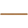 Jardinera acero corten 770x50x36 cm