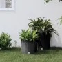 Removable inner pot PP rattan anthracite gray 15/15.3 L by vidaXL, Pots and planters - Ref: Foro24-364684, Price: 30,43 €, Di...