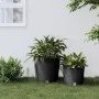 Removable interior planter PP rattan anthracite gray 35/37.5 L by vidaXL, Pots and planters - Ref: Foro24-364686, Price: 47,6...