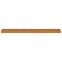 Jardinera acero corten 770x100x36 cm