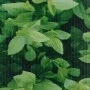 Green PVC fence panel 35x0.19 m by vidaXL, fence panels - Ref: Foro24-147849, Price: 42,28 €, Discount: %