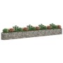 Arriate de gaviones de hierro galvanizado 540x50x50 cm