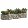 Arriate de gaviones de hierro galvanizado 300x100x50 cm