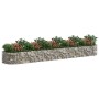 Arriate de gaviones de hierro galvanizado 500x100x50 cm
