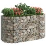 Arriate de gaviones de hierro galvanizado 200x100x100 cm