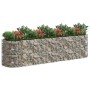 Arriate de gaviones de hierro galvanizado 400x100x100 cm